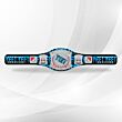 WWE Spinner Championship