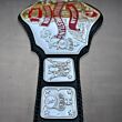 nwa world heavyweight championship