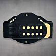 NXT Champion Belt