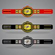 Poker Champion Belt