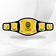WWE Spinner Title