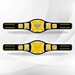 the rock wwe spinner belt