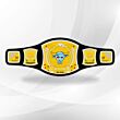 the rock wwe title belt