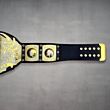 tna world heavyweight championship replica
