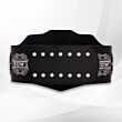 WWE ECW Championship Belt Replica 2008 back view