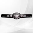 WWE ECW Championship 2008 Replica Title Belt