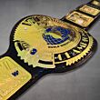 WWF Big Eagle Championship Belt Replica side view